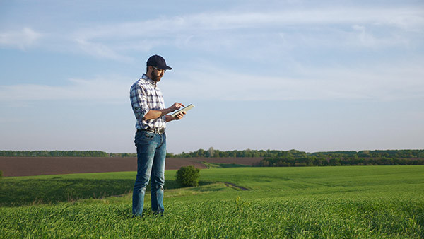 Farmer Field Ipad