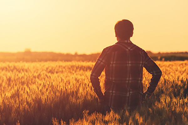 Man in a wheat field600 1