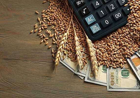 Money grain calculator
