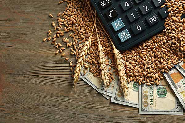 Money grain calculator