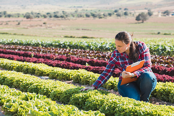 sustainable farming