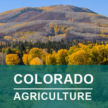 Colorado Agriculture2