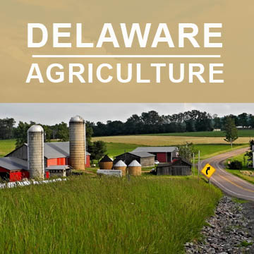 Delaware Agriculture2