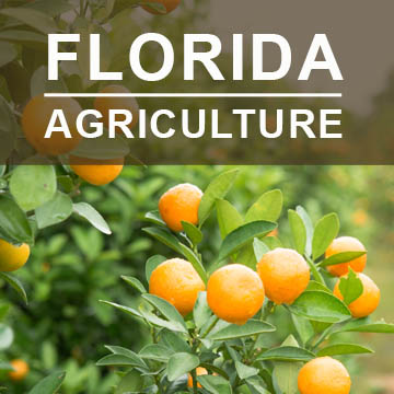 Florida Agriculture2