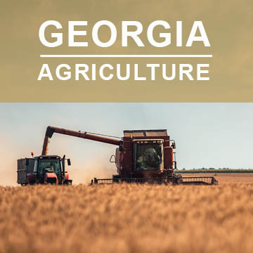 Georgia Agriculture2