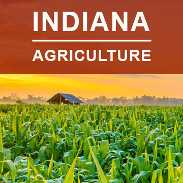 Indiana Agriculture2