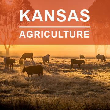 Kansas Agriculture