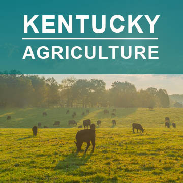 Kentucky Agriculture2
