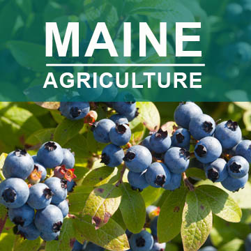 Maine Agriculture2