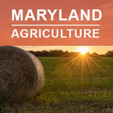 Maryland Agriculture2