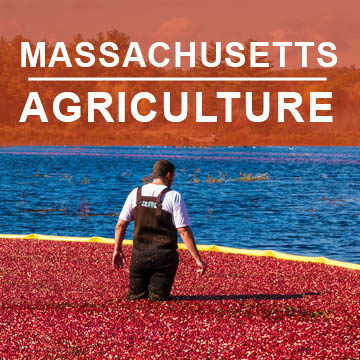 Massachusetts Agriculture2