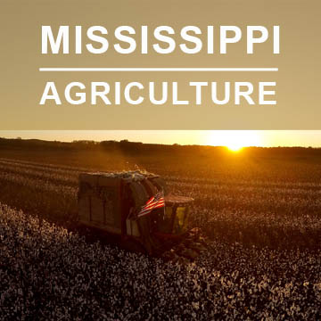 Mississippi Agriculture2