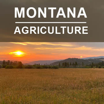 Montana Agriculture2