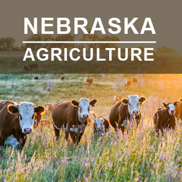Nebraska Agriculture2
