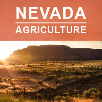 Nevada Agriculture2