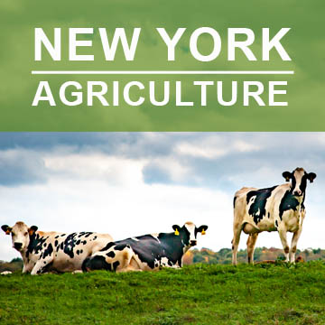 New York Agriculture2