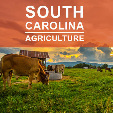 South Carolina Agriculture2
