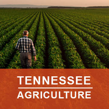 Tennesse Agriculture2