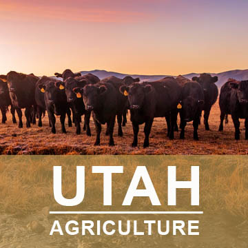 Utah Agriculture2