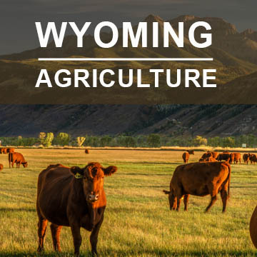 Wyoming Agriculture2