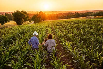 family in corn field