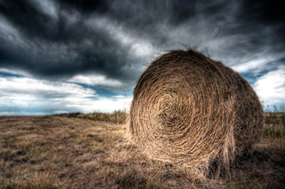 hay bail on countryside