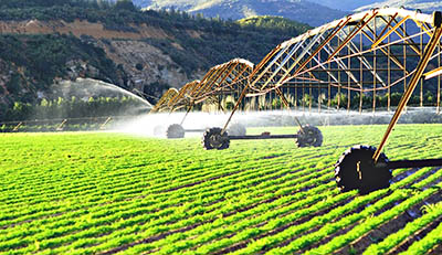 modern irrigation system