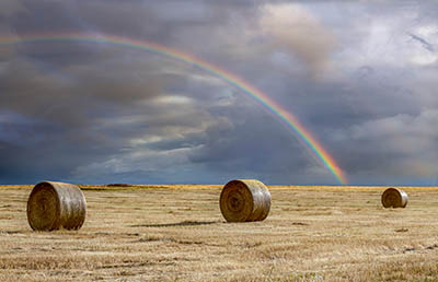 rainbow over rolled hay bales
