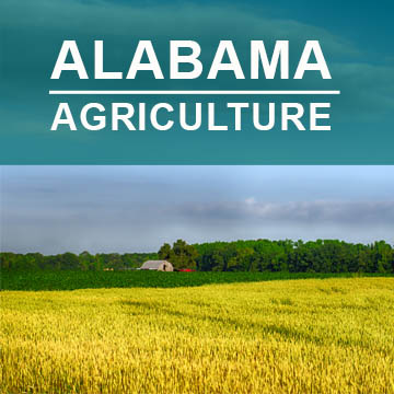 Alabama Agriculture2