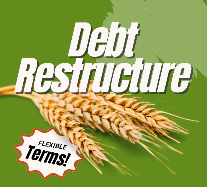 Debt Restructures