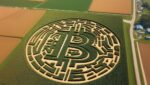 Bitcoin Farm Corn Maze
