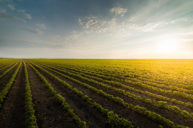 Development Loans 5 shutterstock 699261259