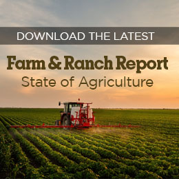 Farm Report Spring SQUARE