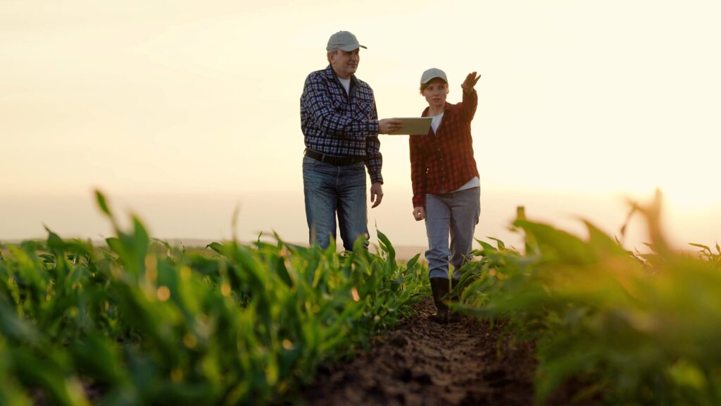 Right Ag Loan Cash Flow Match Farm Loan Maturity