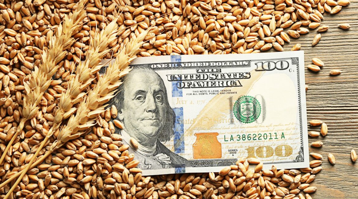 Ag Lender Farm Loans Red Flags