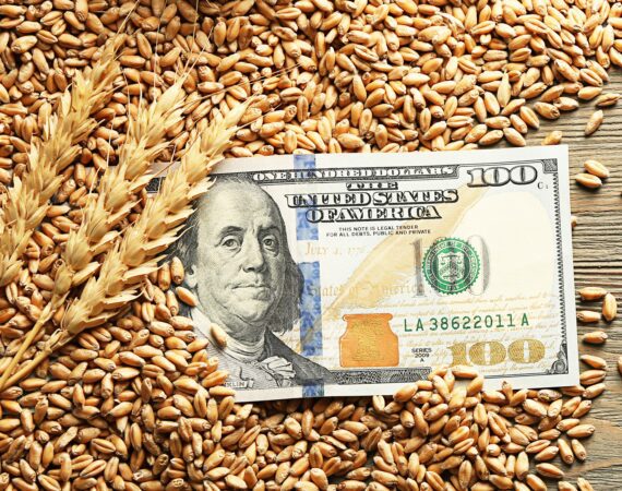 Ag Lender Farm Loans Red Flags