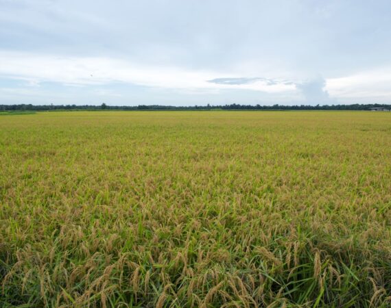 ag real estate value appraisal lenders