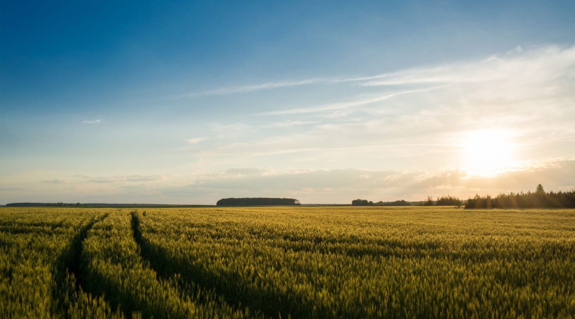 alternative lending agriculture farm loans