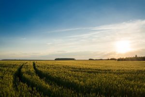 alternative lending agriculture farm loans