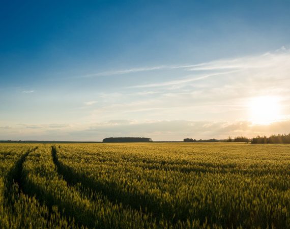 alternative lending agriculture farm loans