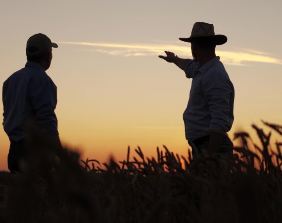 Succession Planning Farmer Families