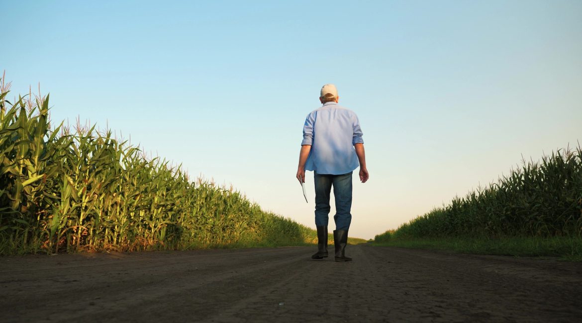 Farm Credit in 2026: Why Some Operations Are Feeling More Pressure Than Others 1 Farm Credit Pressure Working Capital Operating Debt Farmland Equity