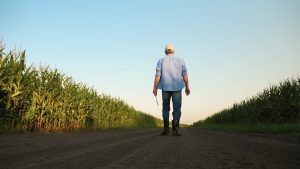 Conterra Ag Lending Home 12 Farm Credit Pressure Working Capital Operating Debt Farmland Equity