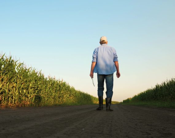 Farm Credit Pressure Working Capital Operating Debt Farmland Equity